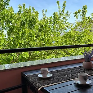 Apartment Murva, Premantura